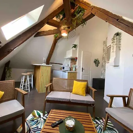 Appartement Sous Les Tropiques D'ablis